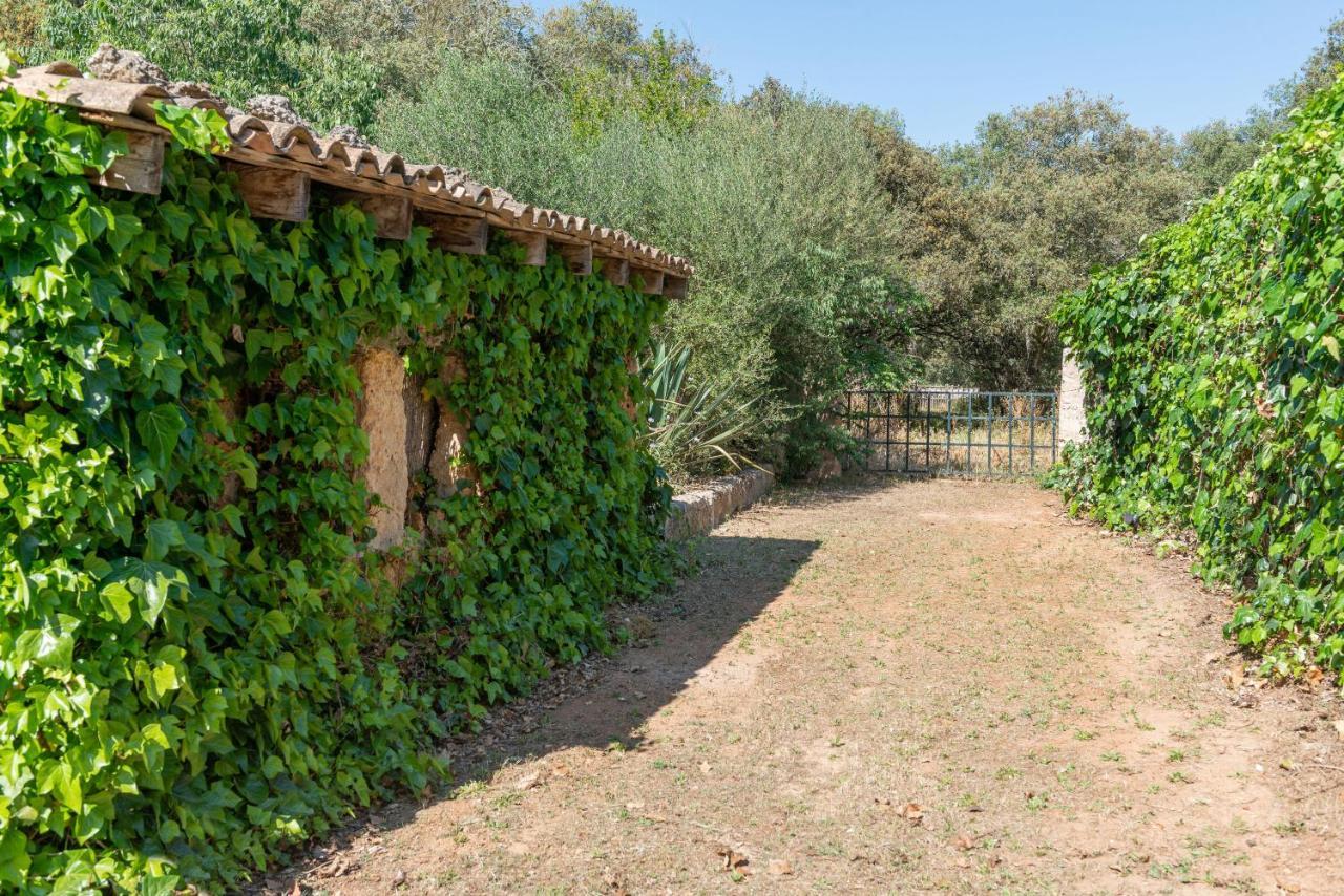 Sunset Private Eco-Villa Can Vey 印卡 外观 照片